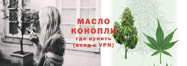 дмт Переславль-Залесский