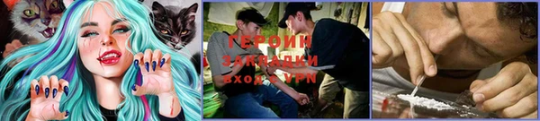 дмт Переславль-Залесский