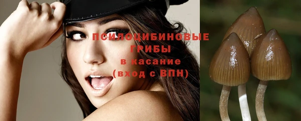крисы Покачи