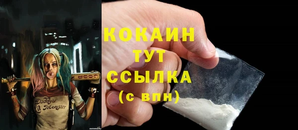 ГАЛЛЮЦИНОГЕННЫЕ ГРИБЫ Пересвет
