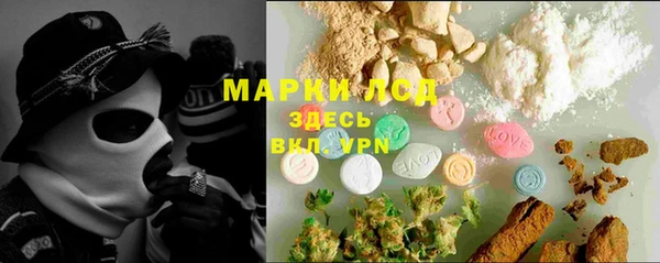 ГАЛЛЮЦИНОГЕННЫЕ ГРИБЫ Пересвет