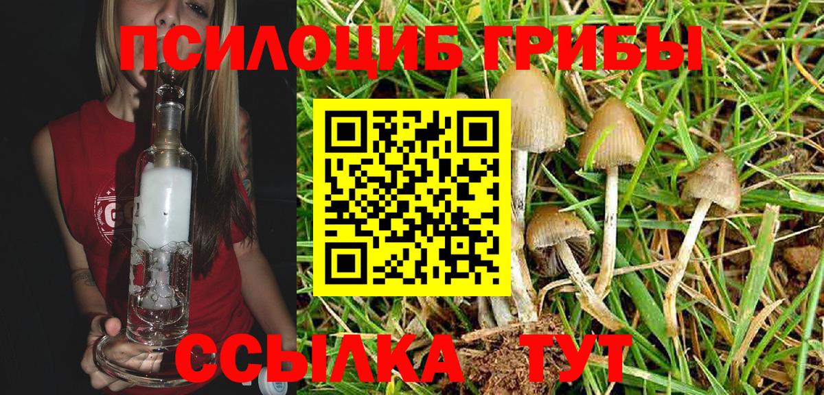 Галлюциногенные грибы GOLDEN TEACHER Пятигорск