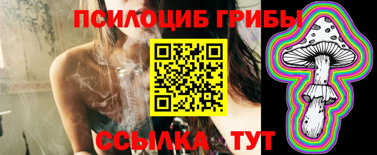 Псилоцибиновые грибы прущие грибы  Пятигорск 
